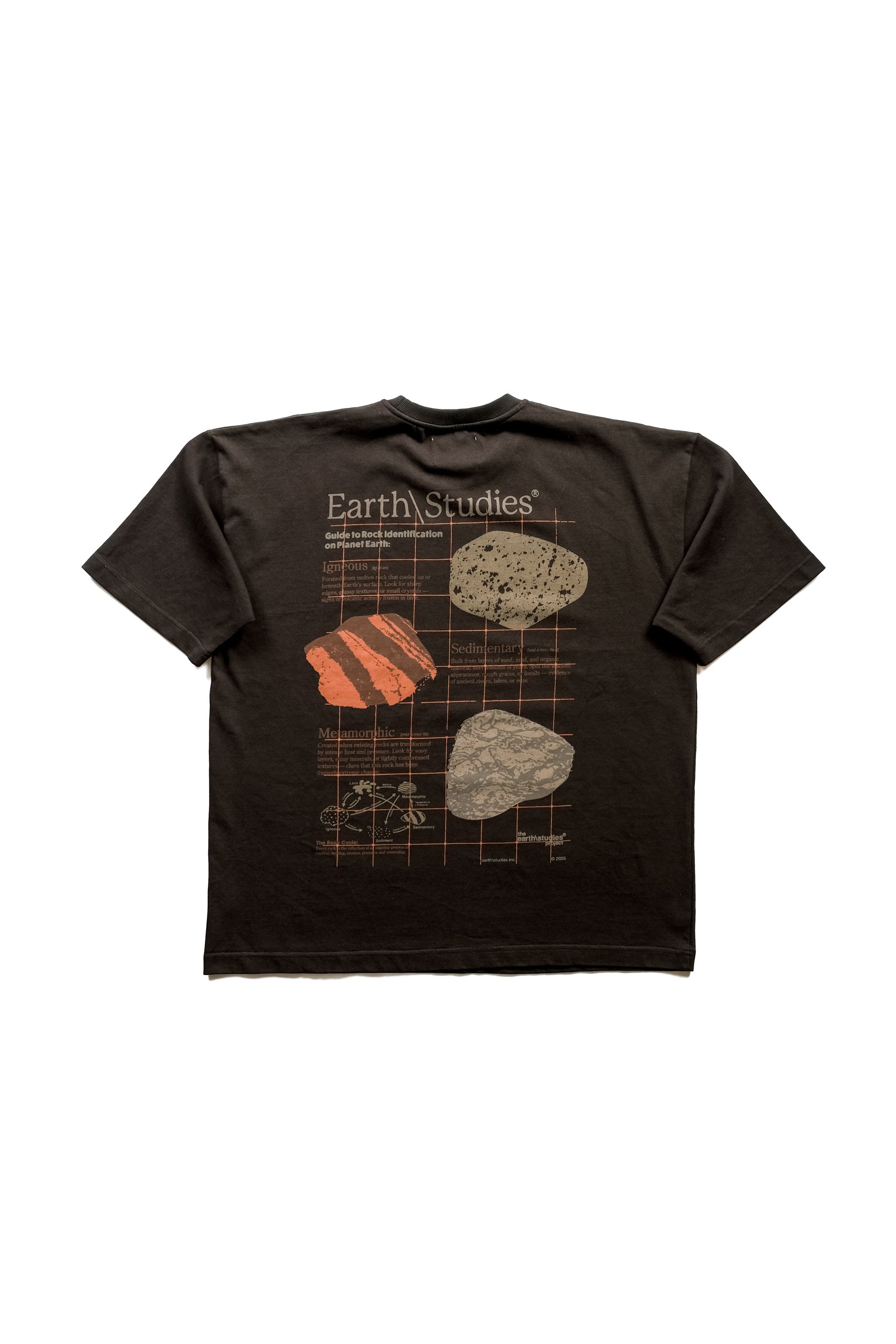 IMAGE PROJECTION TEE - STONE