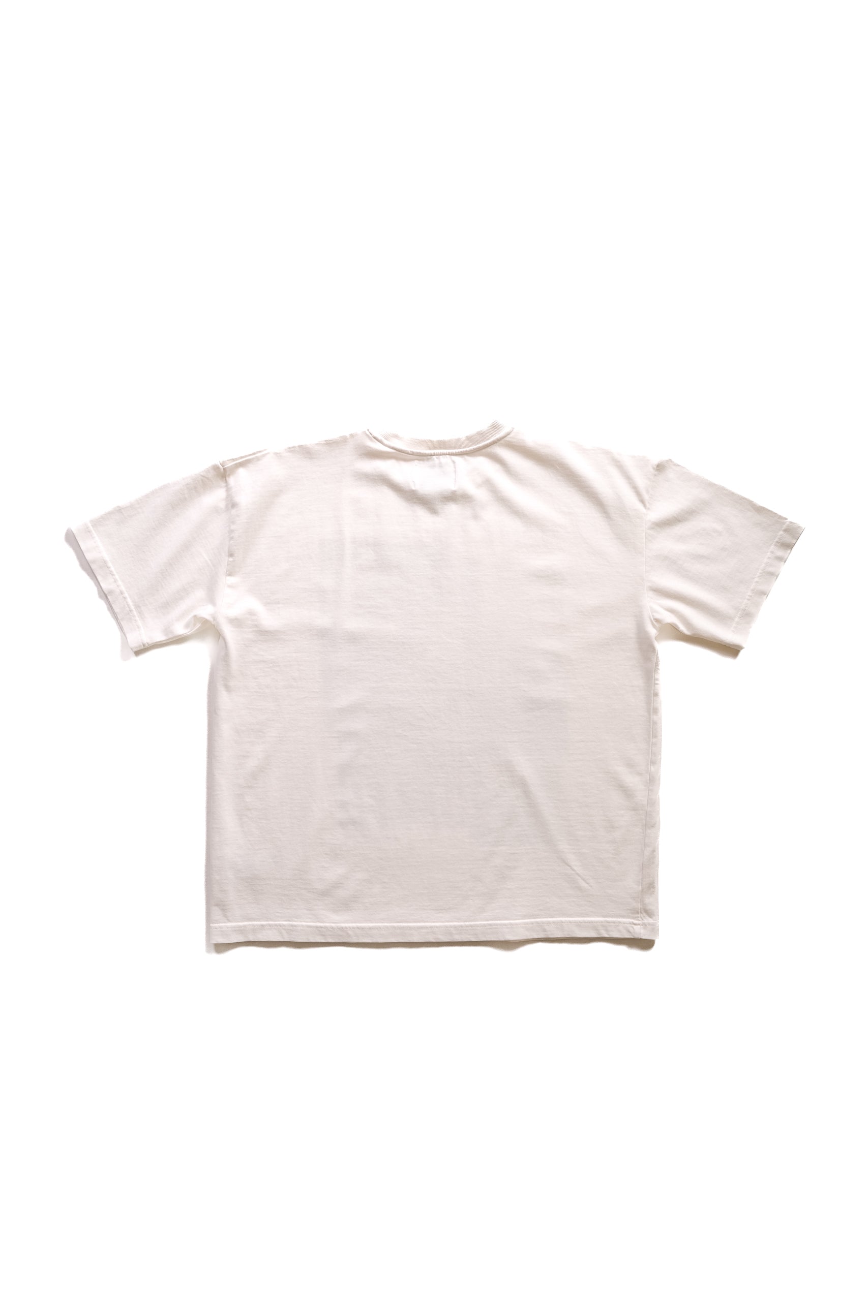 IMAGE PROJECTION TEE - ELEMENTS